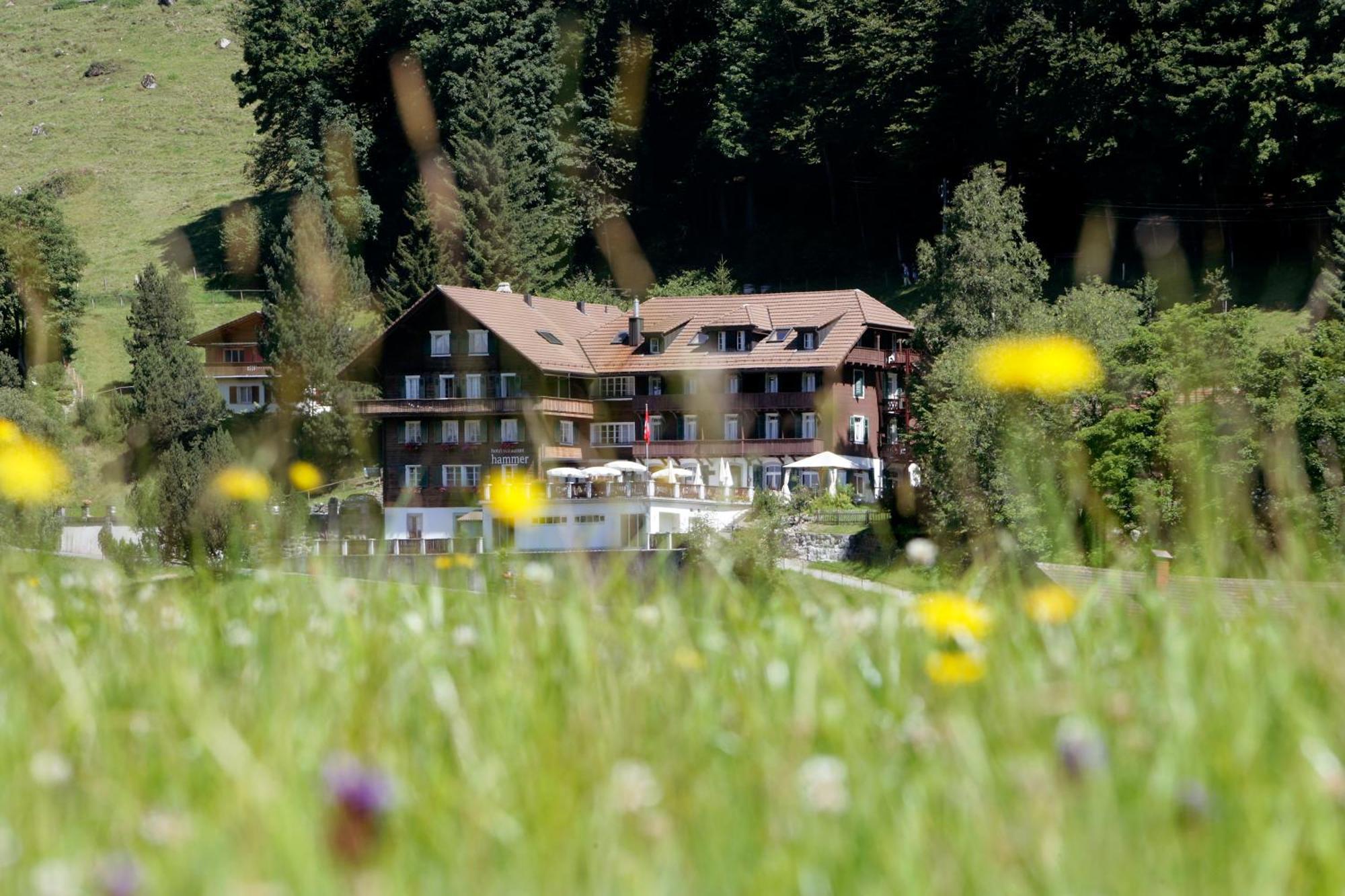 Hotel Restaurant Hammer Eigenthal Εξωτερικό φωτογραφία